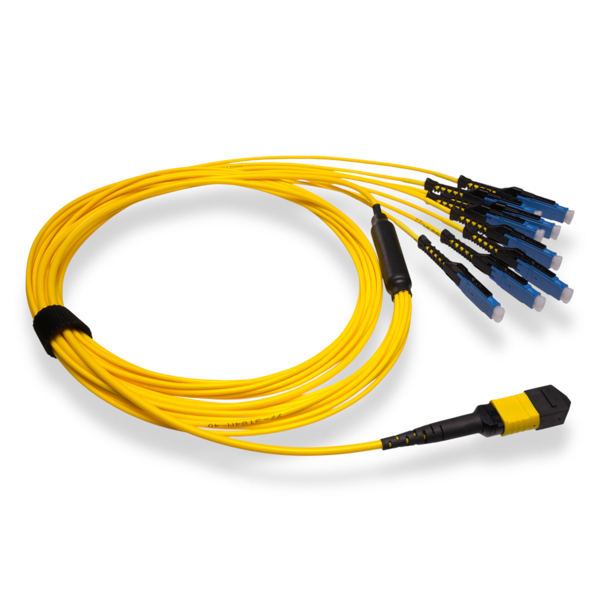 16-Fiber Non-Pinned MPO/APC to 8 x MDC/UPC Fanout Cable | Corning® SMF-28® Ultra Single-mode Optical Fiber | OS1/OS2 Compatible | Crossover, Yellow MPO Connector, Blue MDC Connector, Yellow Cable Jacket | OFNR Jacket
