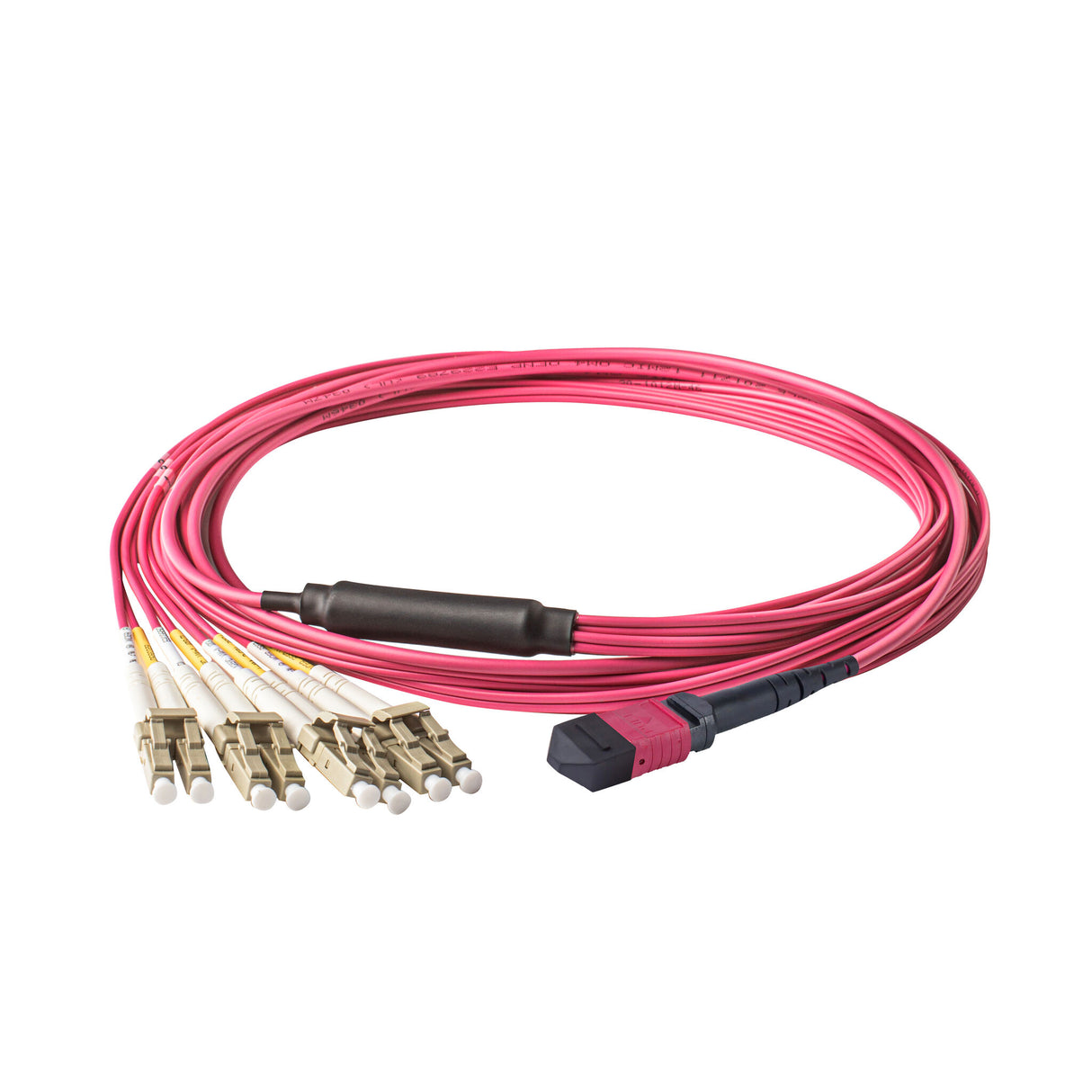 Elite Non-Pinned MPO to 8xLC Breakout Cable with Corning ClearCurve® OM4 Multimode Fiber, featuring a Magenta MPO Connector, Magenta Jacket, and Beige LC Connectors, optimized for high-speed 40G/100G data center applications.