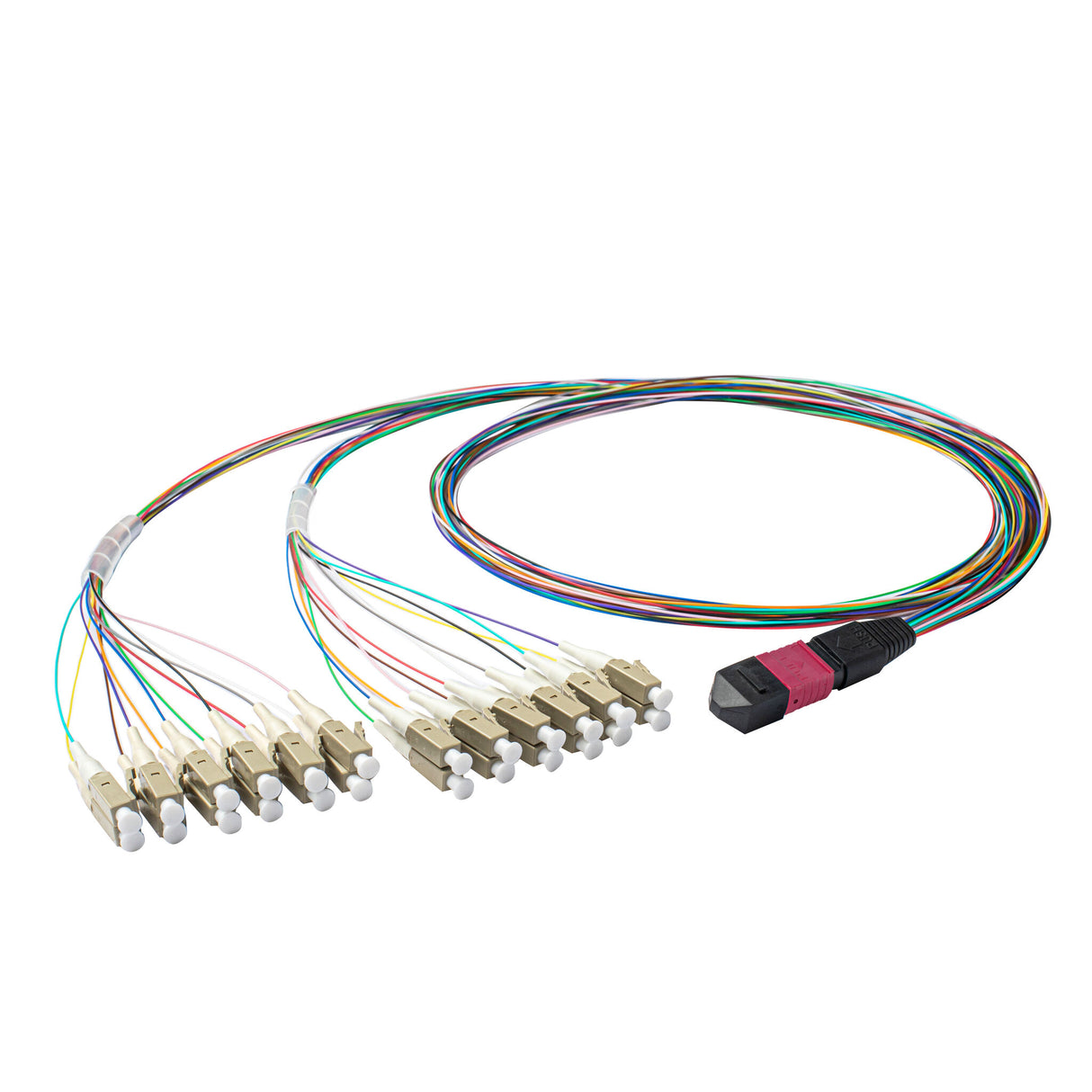 Elite Non-Pinned MPO to 24xLC Breakout Cable with Corning ClearCurve® OM4 Multimode Fiber, featuring a Magenta MPO Connector, 600μm 24-Colored Hytrel® Fiber Tube, and Beige LC Connectors, optimized for high-speed 40G/100G data center applications.