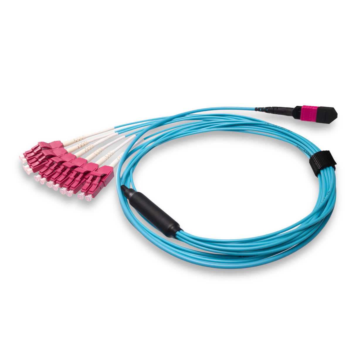 12-Fiber Low Loss Non-Pinned MPO/UPC to 6 x LC Uniboot/UPC Duplex QSFP Type Breakout Cable | Corning ClearCurve OM4 Multimode Optical Fiber | Type B, Magenta MPO Connector, Magenta LC Uniboot Connector, Aqua OFNP Cable Jacket