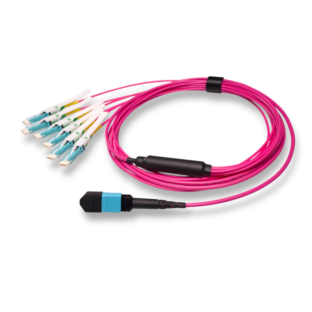 12-Fiber Non-Pinned MPO-12/UPC to 6 x CS/UPC Breakout Cable | Corning® ClearCurve® OM4 Multimode Optical Fiber | Type B, Aqua MPO Connector, Aqua CS Connector, Magenta Cable Jacket | OFNR Jacket