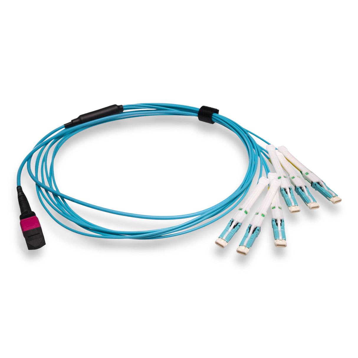 12-Fiber Non-Pinned MPO-12/UPC to 6 x CS/UPC Breakout Cable | Corning® ClearCurve® OM4 Multimode Optical Fiber | Type B, Magenta MPO Connector, Aqua CS Connector, Aqua Cable Jacket | OFNR Jacket