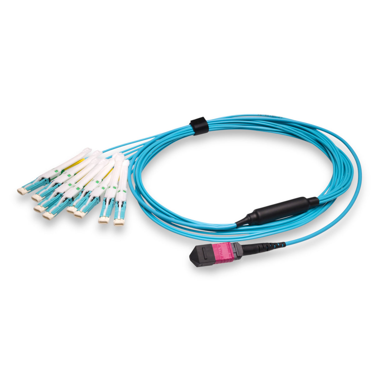 16-Fiber Non-Pinned MPO-16/UPC to 8 x CS/UPC Breakout Cable | Corning® ClearCurve® OM4 Multimode Optical Fiber | Crossover, Magenta MPO Connector, Aqua CS Connector, Aqua Cable Jacket | LSZH Jacket