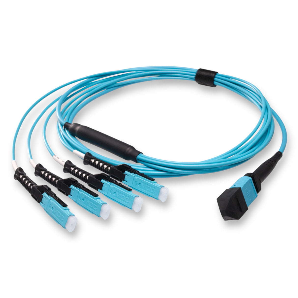 8-Fiber Non-Pinned MPO/UPC to 4 x MDC/UPC Fanout Cable | Corning® ClearCurve® OM3 Multimode Optical Fiber | Type B, Aqua MPO Connector, Aqua MDC Connector, Aqua Cable Jacket | LSZH Jacket