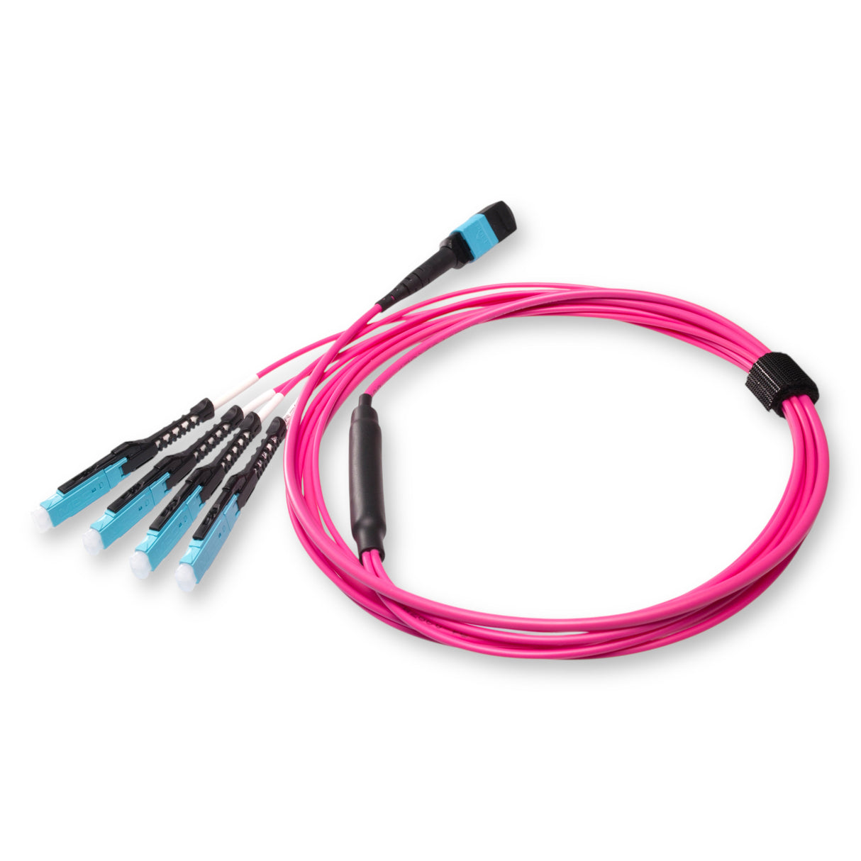 8-Fiber Non-Pinned MPO/UPC to 4 x MDC/UPC Fanout Cable | Corning® ClearCurve® OM4 Multimode Optical Fiber | Type B, Aqua MPO Connector, Aqua MDC Connector, Magenta Cable Jacket | OFNR Jacket