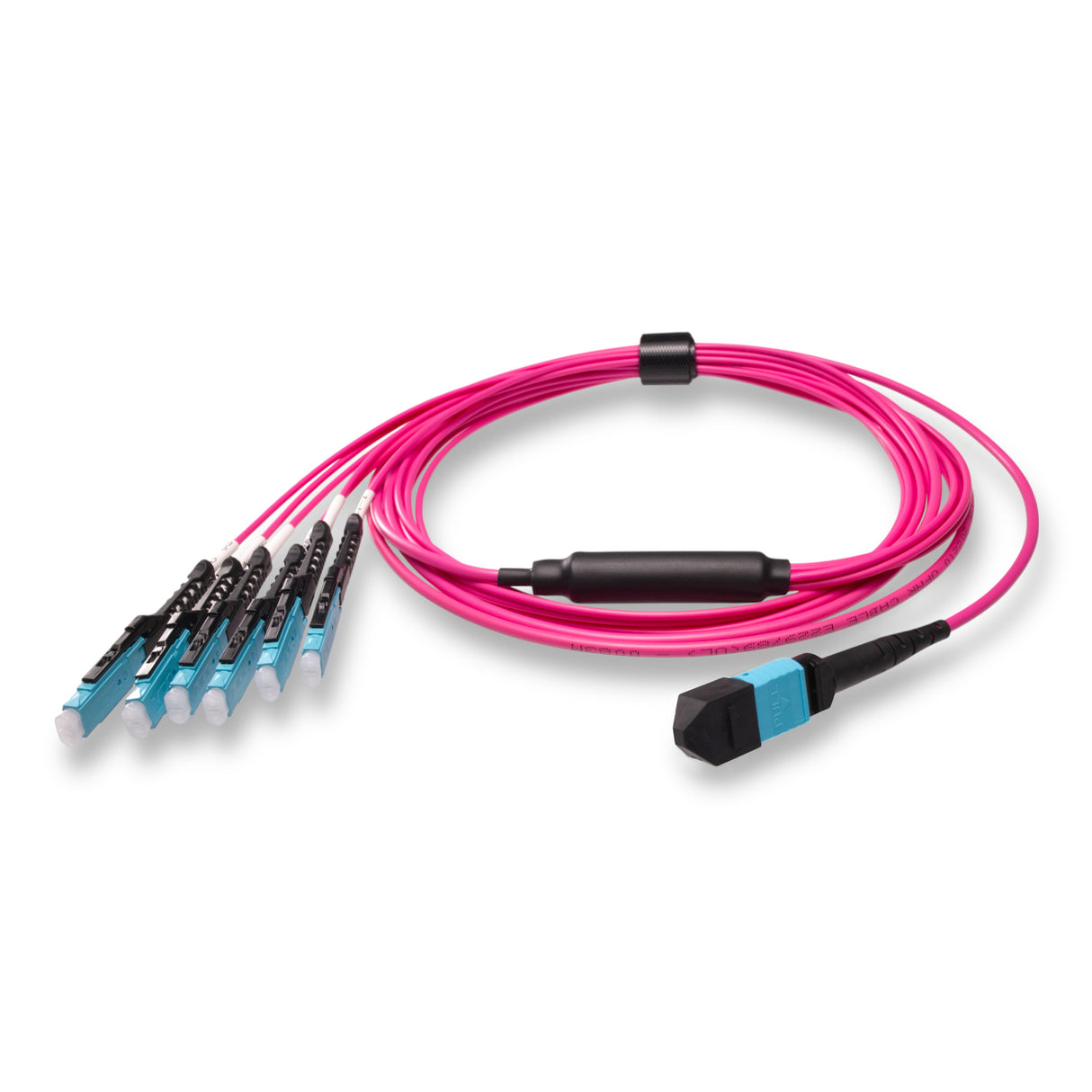 12-Fiber Non-Pinned MPO/UPC to 6 x MDC/UPC Fanout Cable | Corning® ClearCurve® OM4 Multimode Optical Fiber | Type B, Aqua MPO Connector, Aqua MDC Connector, Magenta Cable Jacket | OFNR Jacket