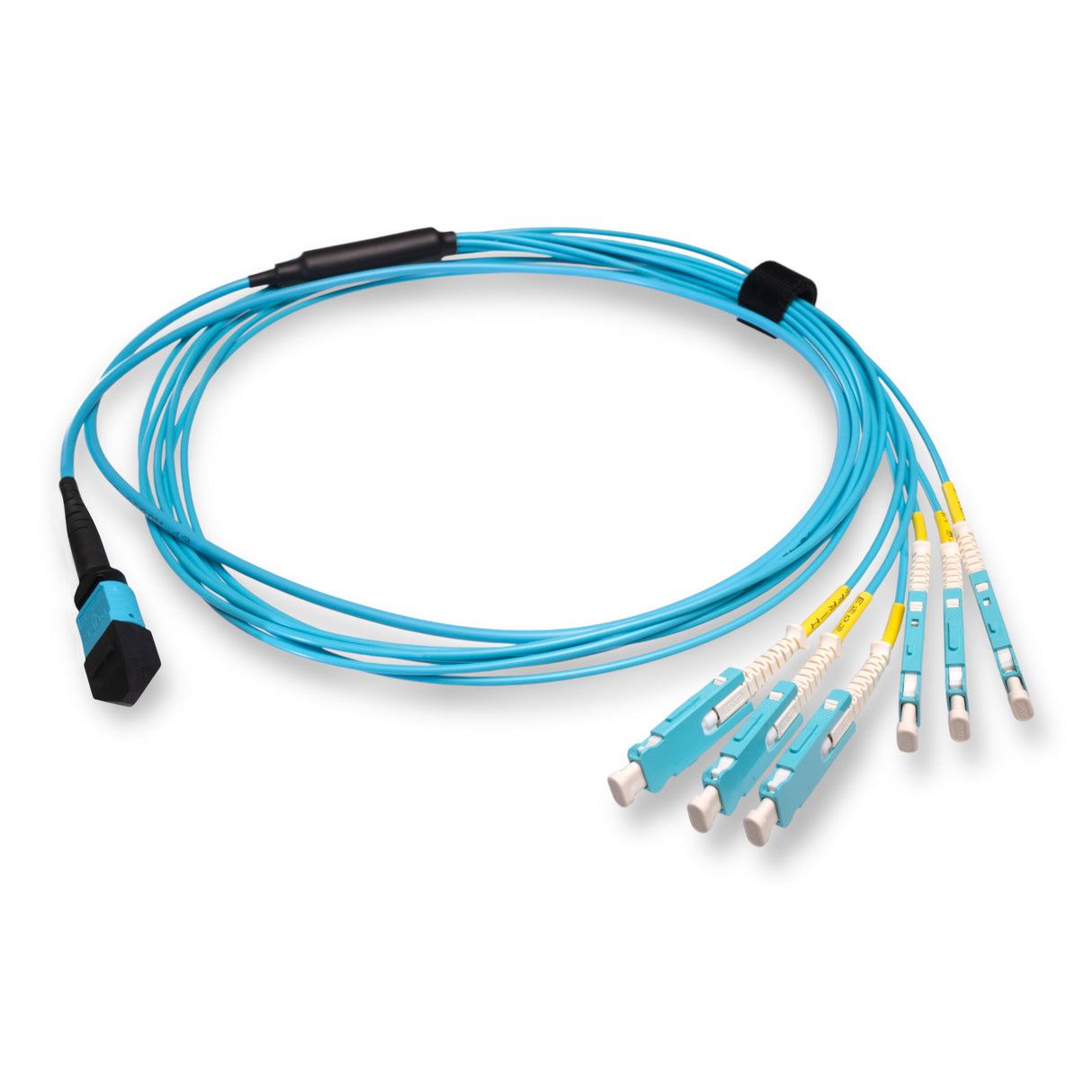 12-Fiber Non-Pinned MPO/UPC to 6 x SN/UPC Fanout Cable | Corning® ClearCurve® OM4 Multimode Optical Fiber | Type B, Aqua MPO Connector, Aqua SN Connector, Aqua Cable Jacket | OFNR Jacket