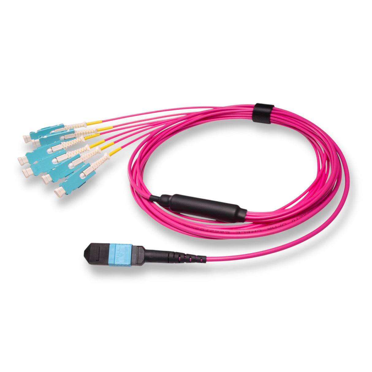 12-Fiber Non-Pinned MPO/UPC to 6 x SN/UPC Fanout Cable | Corning® ClearCurve® OM4 Multimode Optical Fiber | Type B, Aqua MPO Connector, Aqua SN Connector, Magenta Cable Jacket | OFNR Jacket