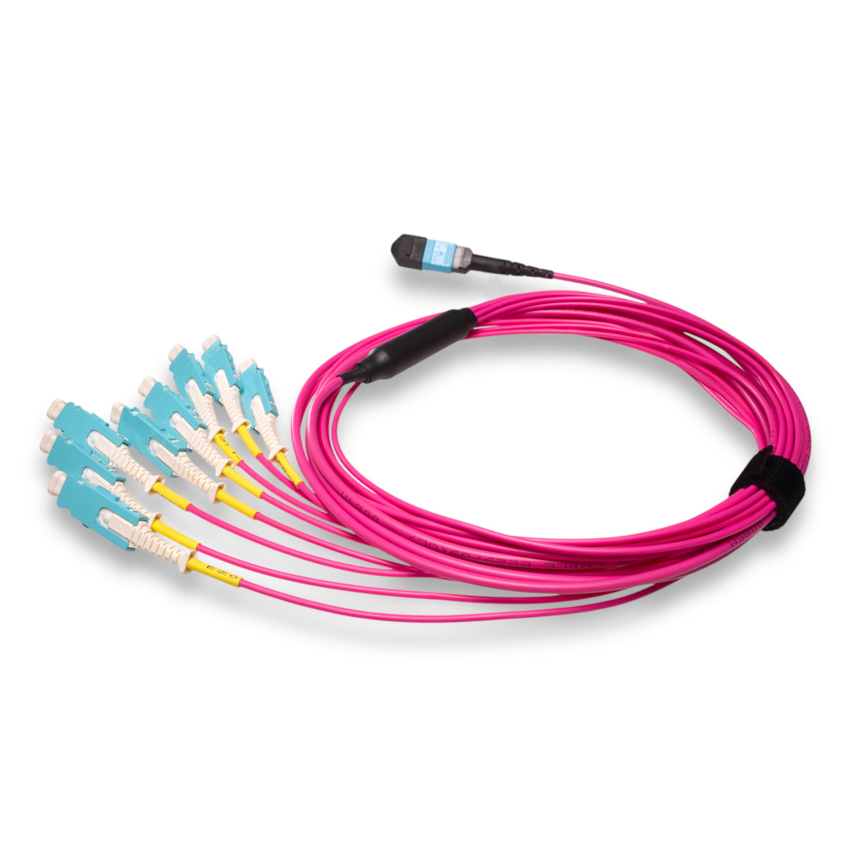 16-Fiber Non-Pinned MPO/UPC to 8 x SN/UPC Fanout Cable | Corning® ClearCurve® OM4 Multimode Optical Fiber | Crossover, Aqua MPO Connector, Aqua SN Connector, Magenta Cable Jacket | OFNR Jacket