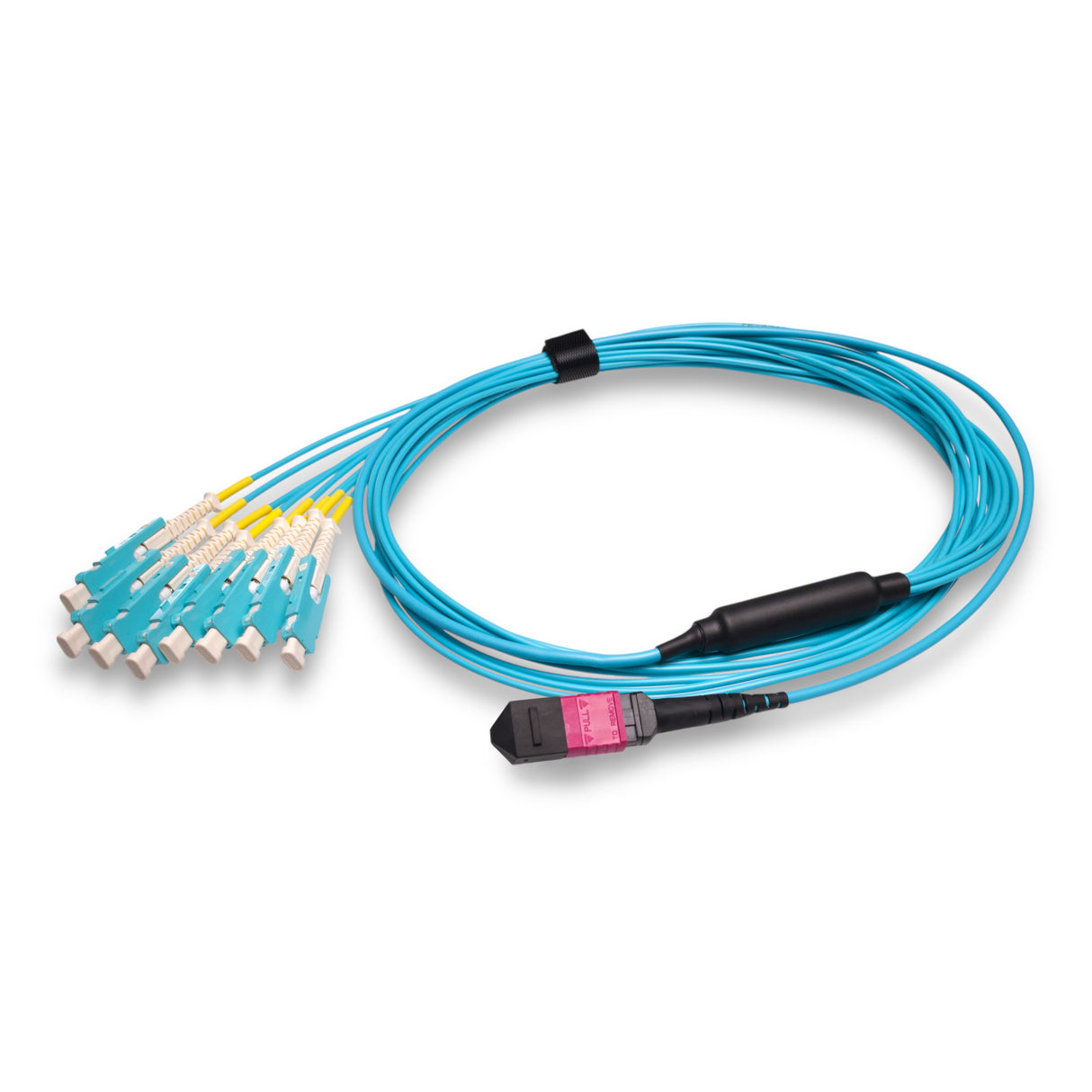 16-Fiber Non-Pinned MPO/UPC to 8 x SN/UPC Fanout Cable | Corning® ClearCurve® OM4 Multimode Optical Fiber | Crossover, Magenta MPO Connector, Aqua SN Connector, Aqua Cable Jacket | OFNR Jacket