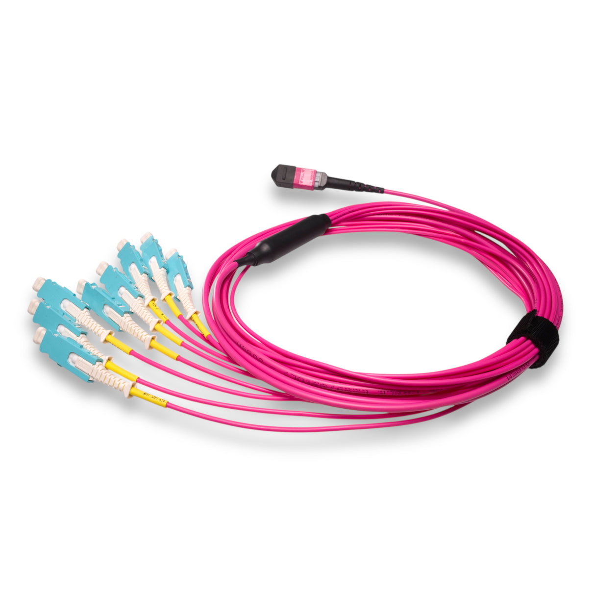 16-Fiber Non-Pinned MPO/UPC to 8 x SN/UPC Fanout Cable | Corning® ClearCurve® OM4 Multimode Optical Fiber | Crossover, Magenta MPO Connector, Aqua SN Connector, Magenta Cable Jacket | OFNR Jacket