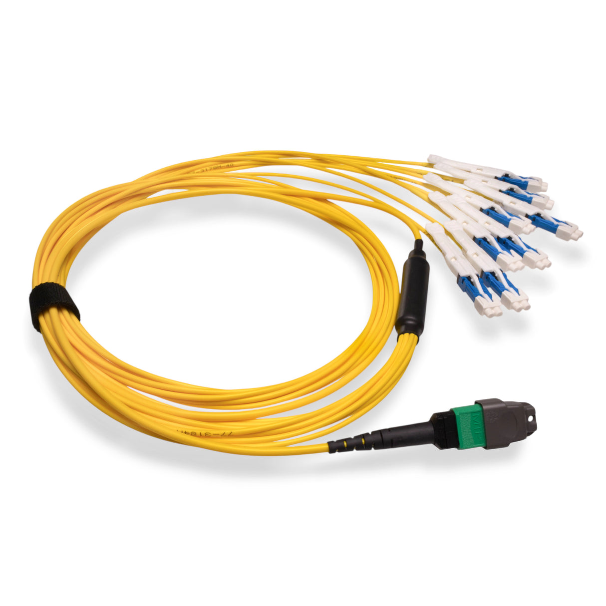 16-Fiber Non-Pinned MTP-16/APC to 8 x CS/UPC Breakout Cable | Corning® SMF-28® Ultra Single-mode Optical Fiber | OS1/OS2 Compatible | Crossover, Green MTP Connector, Blue CS Connector, Yellow Cable Jacket | OFNR Jacket