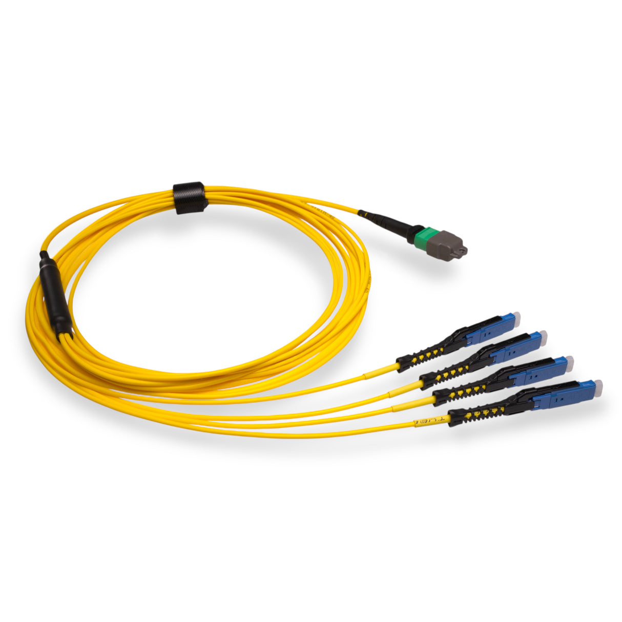 8-Fiber Non-Pinned MTP/APC to 4 x MDC/UPC Fanout Cable | Corning® SMF-28® Ultra Single-mode Optical Fiber | OS1/OS2 Compatible | Type B, Green MTP Connector, Blue MDC Connector, Yellow Cable Jacket | LSZH Jacket
