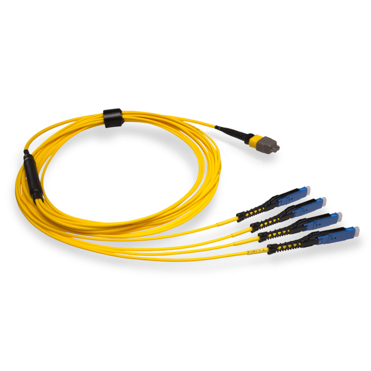 8-Fiber Non-Pinned MTP/APC to 4 x MDC/UPC Fanout Cable | Corning® SMF-28® Ultra Single-mode Optical Fiber | OS1/OS2 Compatible | Type B, Yellow MTP Connector, Blue MDC Connector, Yellow Cable Jacket | LSZH Jacket