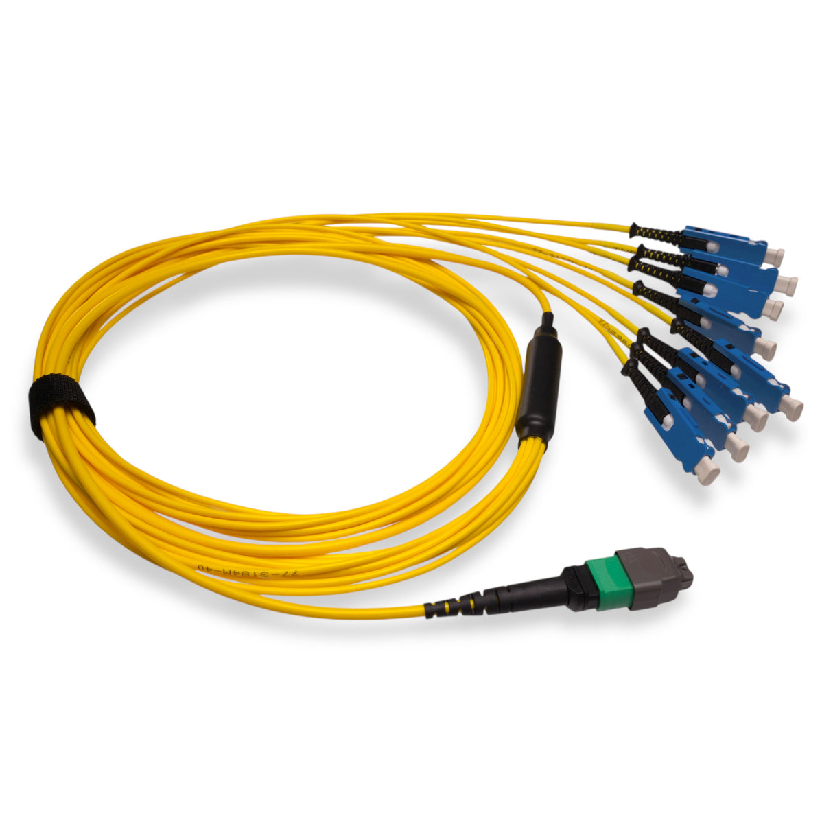16-Fiber Non-Pinned MTP/APC to 8 x SN/UPC Fanout Cable | Corning® SMF-28® Ultra Single-mode Optical Fiber | OS1/OS2 Compatible | Crossover, Green MTP Connector, Blue SN Connector, Yellow Cable Jacket | OFNR Jacket