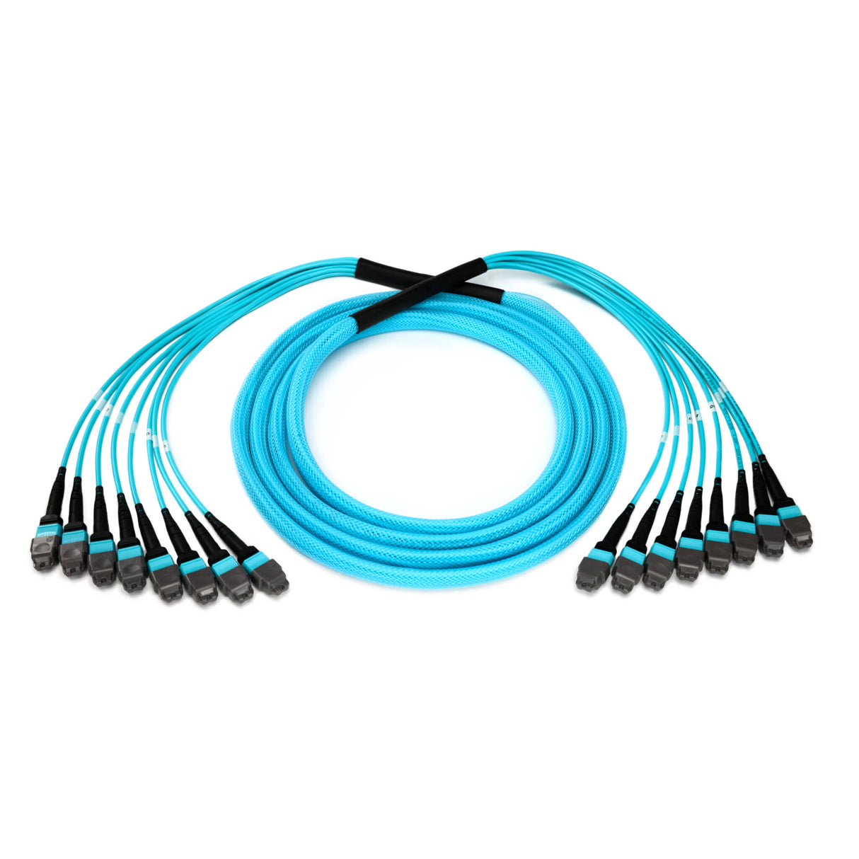 96-Fiber Elite Non-Pinned MTP® to MTP® Trunk Cable with Corning® ClearCurve® OM4 Multimode Fiber, Type B polarity, Magenta Jacket and Aqua Connectors on both ends