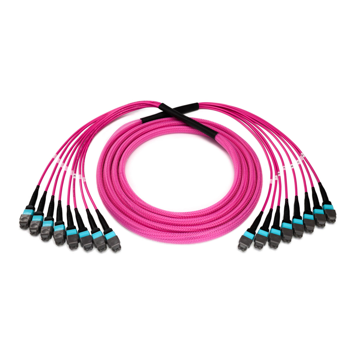 96-Fiber Elite Non-Pinned MTP® to MTP® Trunk Cable with Corning® ClearCurve® OM4 Multimode Fiber, Type B polarity, Magenta Jacket and Aqua Connectors on both ends