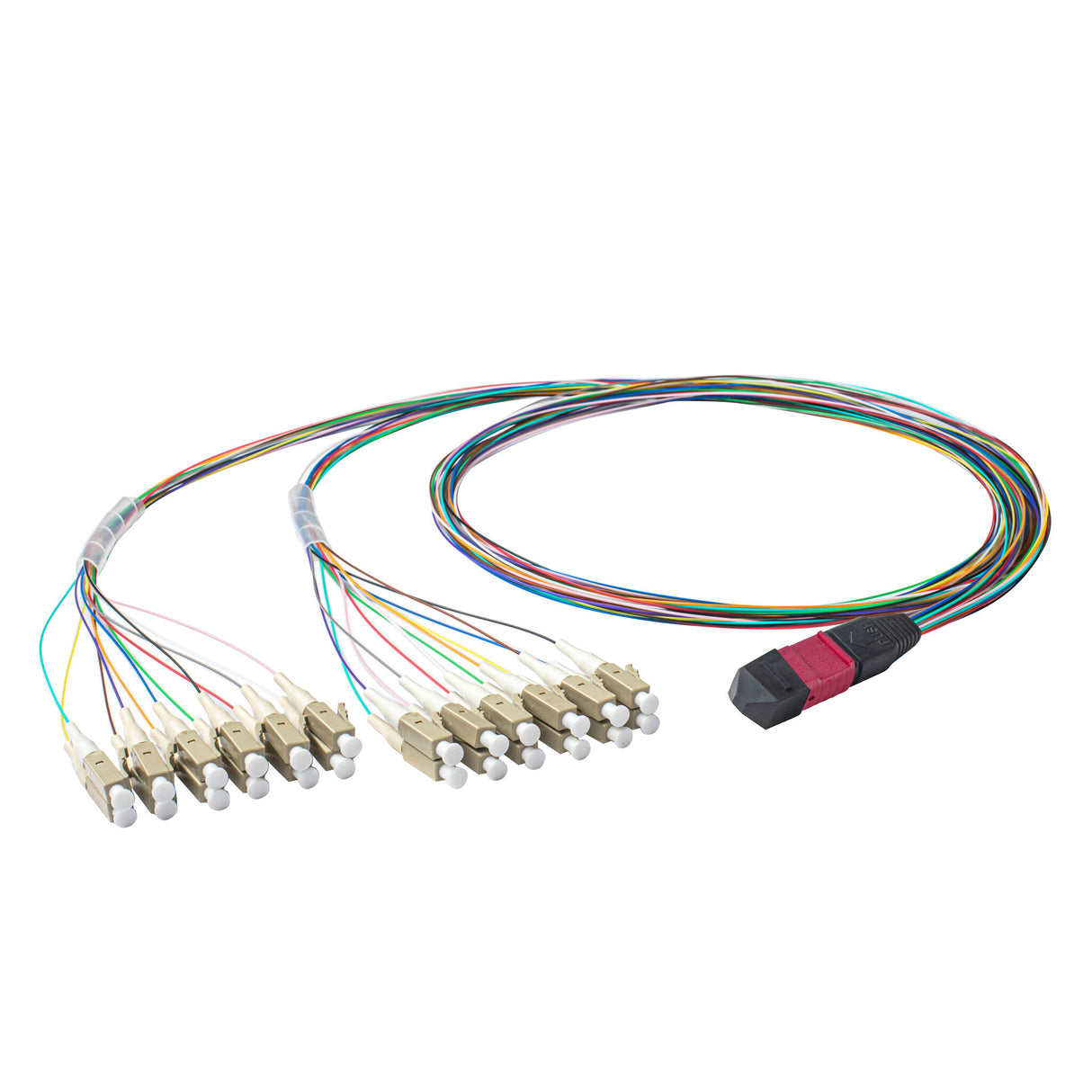 Elite Non-Pinned MTP® to 24xLC Breakout Cable with Corning ClearCurve® OM4 Multimode Fiber, featuring a Magenta MTP® Connector, 600μm 24-Colored Hytrel® Fiber Tube, and Beige LC Connectors, optimized for high-speed 40G/100G data center applications.