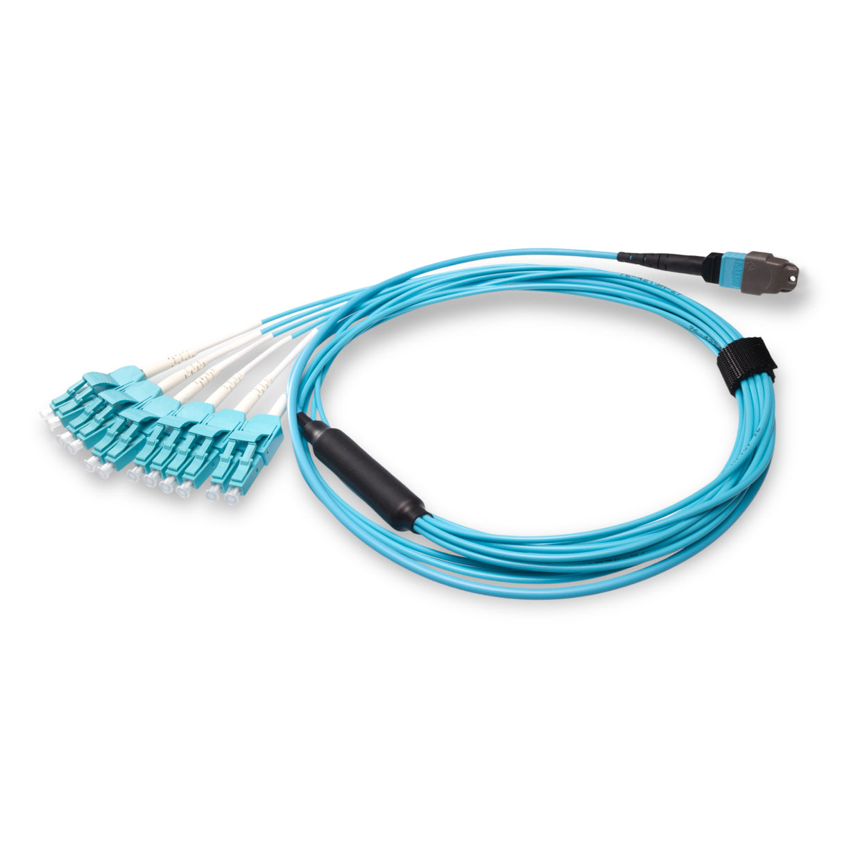 12-Fiber Elite Non-Pinned MTP/UPC to 6 x LC Uniboot/UPC Duplex QSFP Type Breakout Cable | Corning ClearCurve OM4 Multimode Optical Fiber | Type B, Aqua MTP Connector, Aqua LC Uniboot Connector, Aqua OFNP Cable Jacket