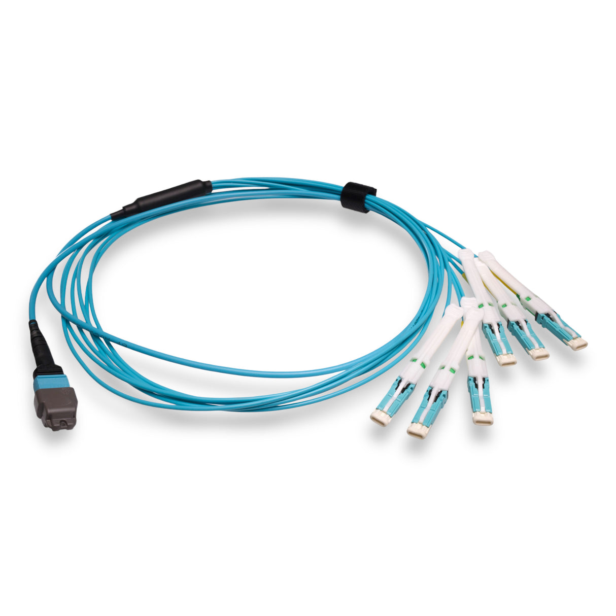 12-Fiber Non-Pinned MTP-12/UPC to 6 x CS/UPC Breakout Cable | Corning® ClearCurve® OM3 Multimode Optical Fiber | Type B, Aqua MTP Connector, Aqua CS Connector, Aqua Cable Jacket | LSZH Jacket
