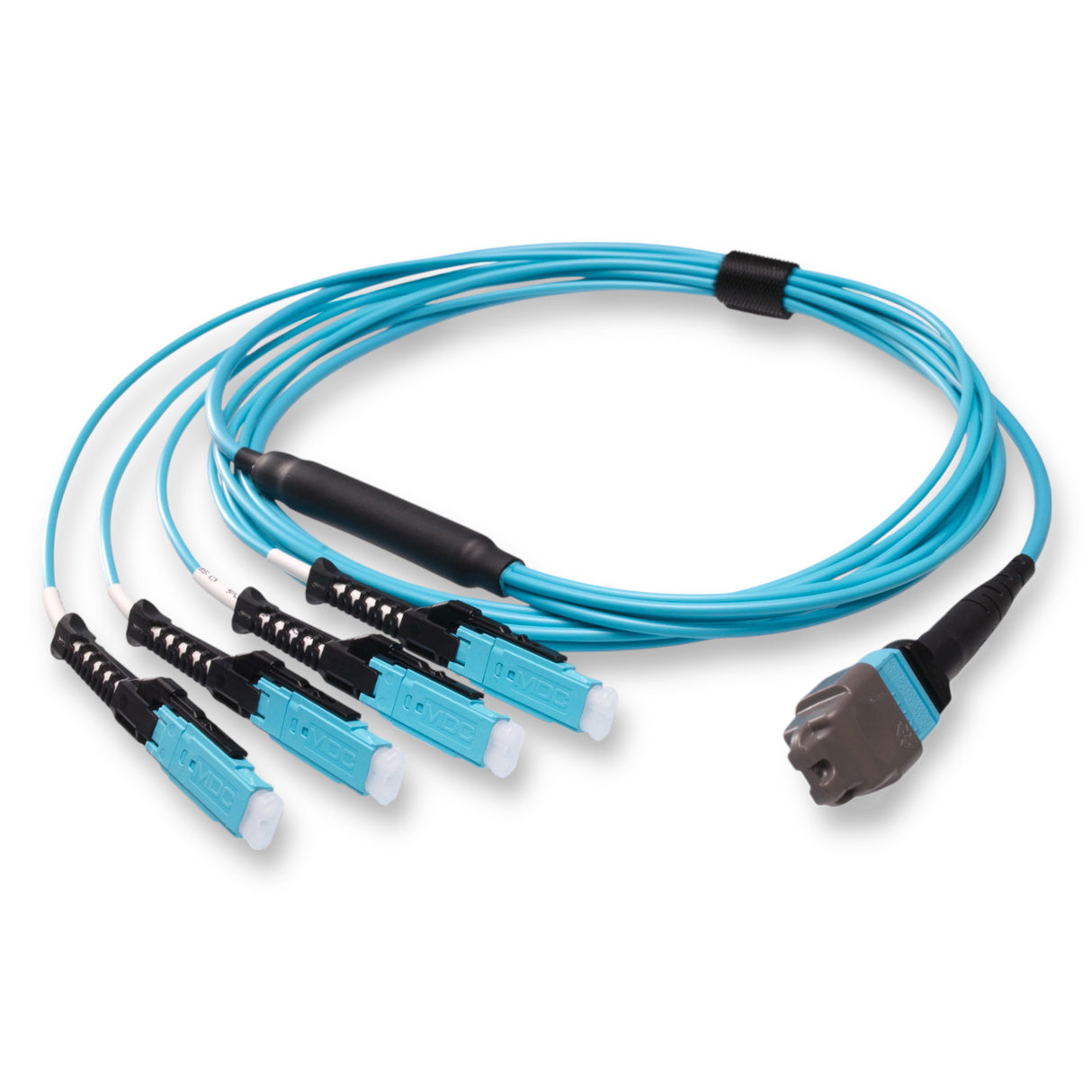 8-Fiber Non-Pinned MTP/UPC to 4 x MDC/UPC Fanout Cable | Corning® ClearCurve® OM4 Multimode Optical Fiber | Type B, Aqua MTP Connector, Aqua MDC Connector, Aqua Cable Jacket | OFNR Jacket