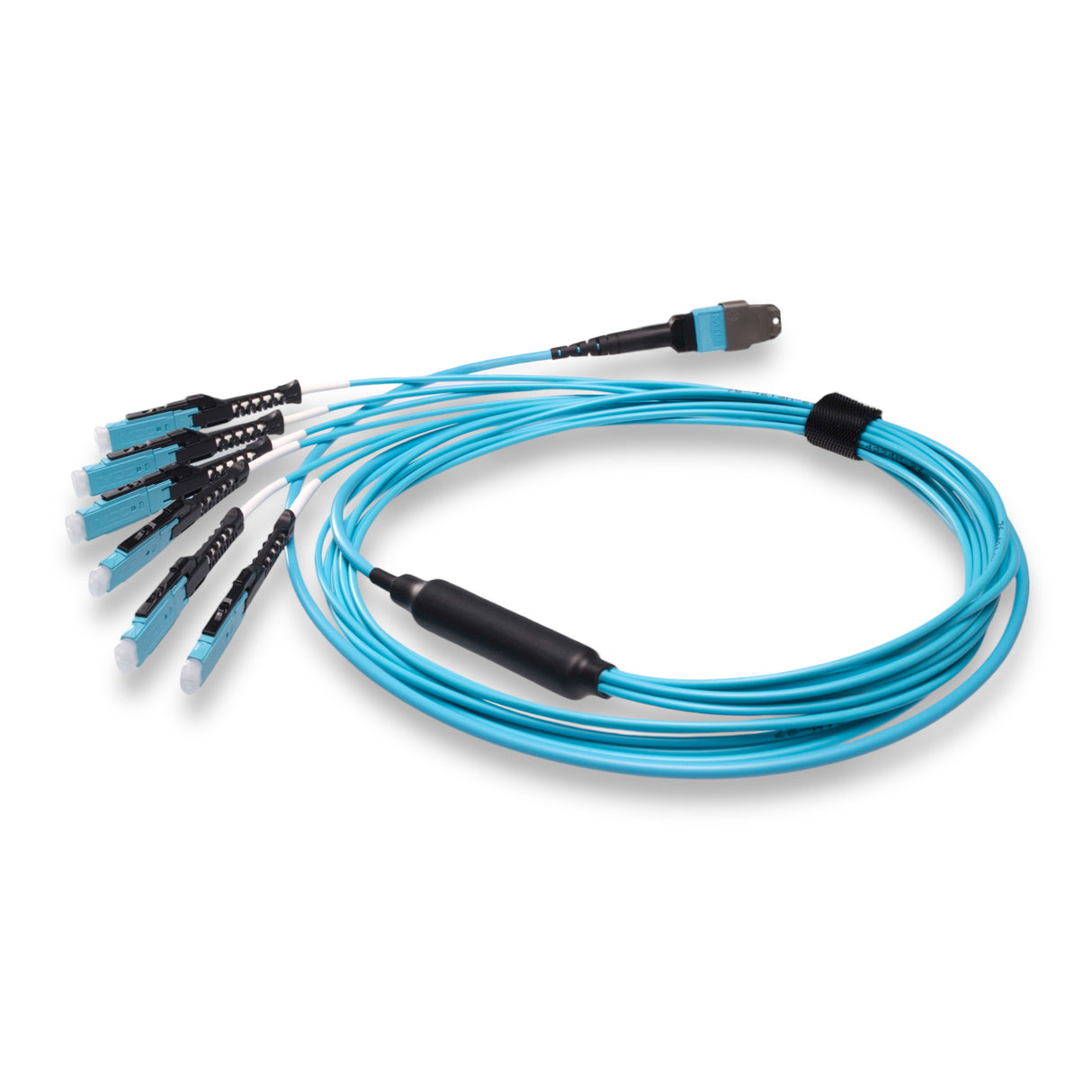 12-Fiber Non-Pinned MTP/UPC to 6 x MDC/UPC Fanout Cable | Corning® ClearCurve® OM4 Multimode Optical Fiber | Type B, Aqua MTP Connector, Aqua MDC Connector, Aqua Cable Jacket | OFNR Jacket