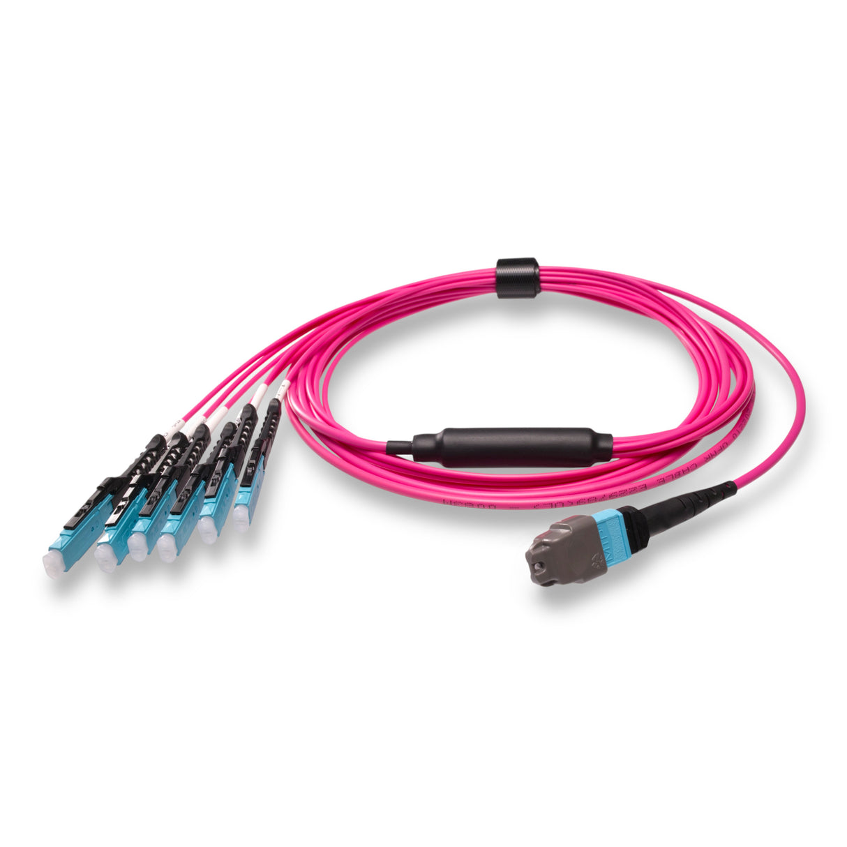 12-Fiber Non-Pinned MTP/UPC to 6 x MDC/UPC Fanout Cable | Corning® ClearCurve® OM4 Multimode Optical Fiber | Type B, Aqua MTP Connector, Aqua MDC Connector, Magenta Cable Jacket | OFNP Jacket