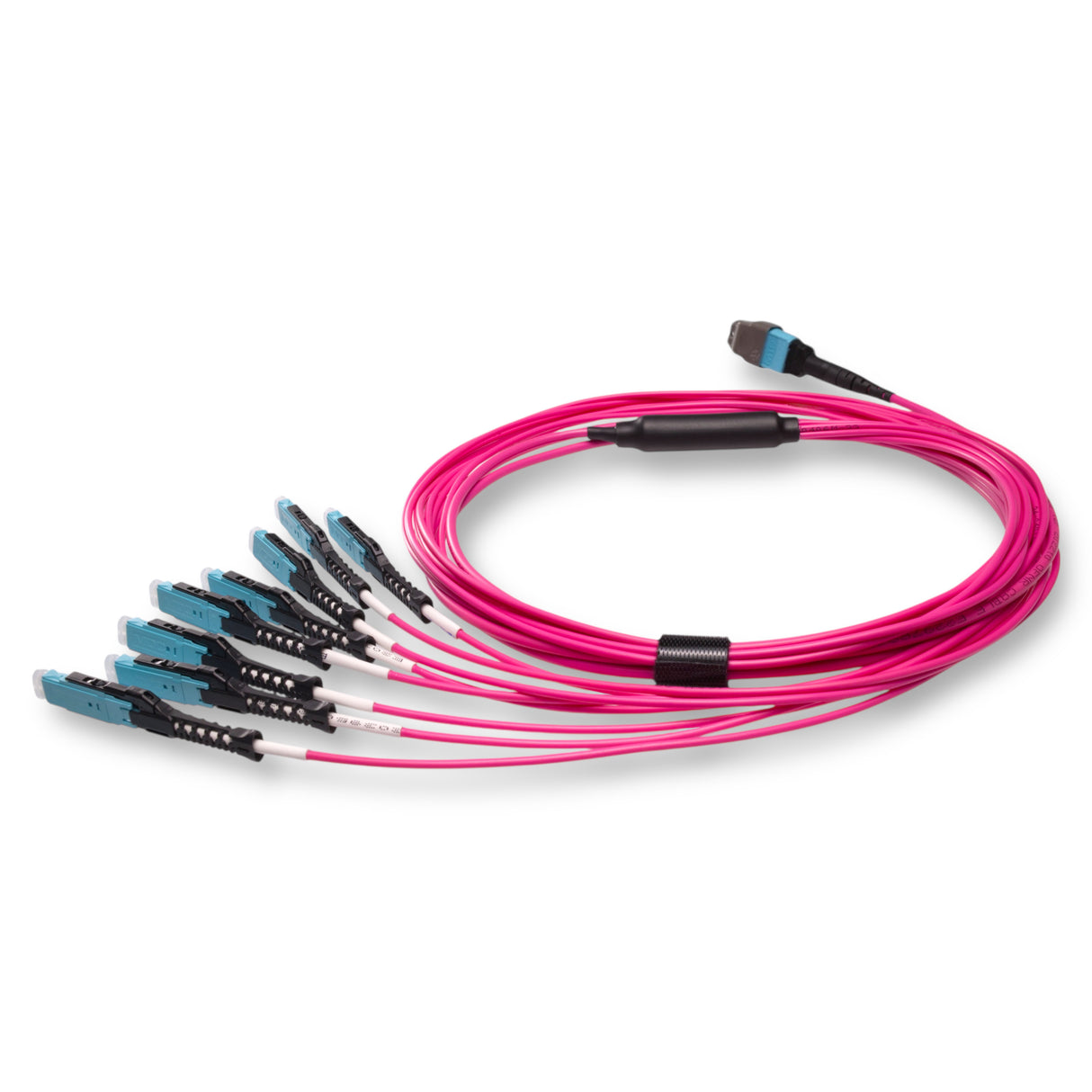 16-Fiber Non-Pinned MTP/UPC to 8 x MDC/UPC Fanout Cable | Corning® ClearCurve® OM4 Multimode Optical Fiber | Crossover, Aqua MTP Connector, Aqua MDC Connector, Magenta Cable Jacket | OFNR Jacket
