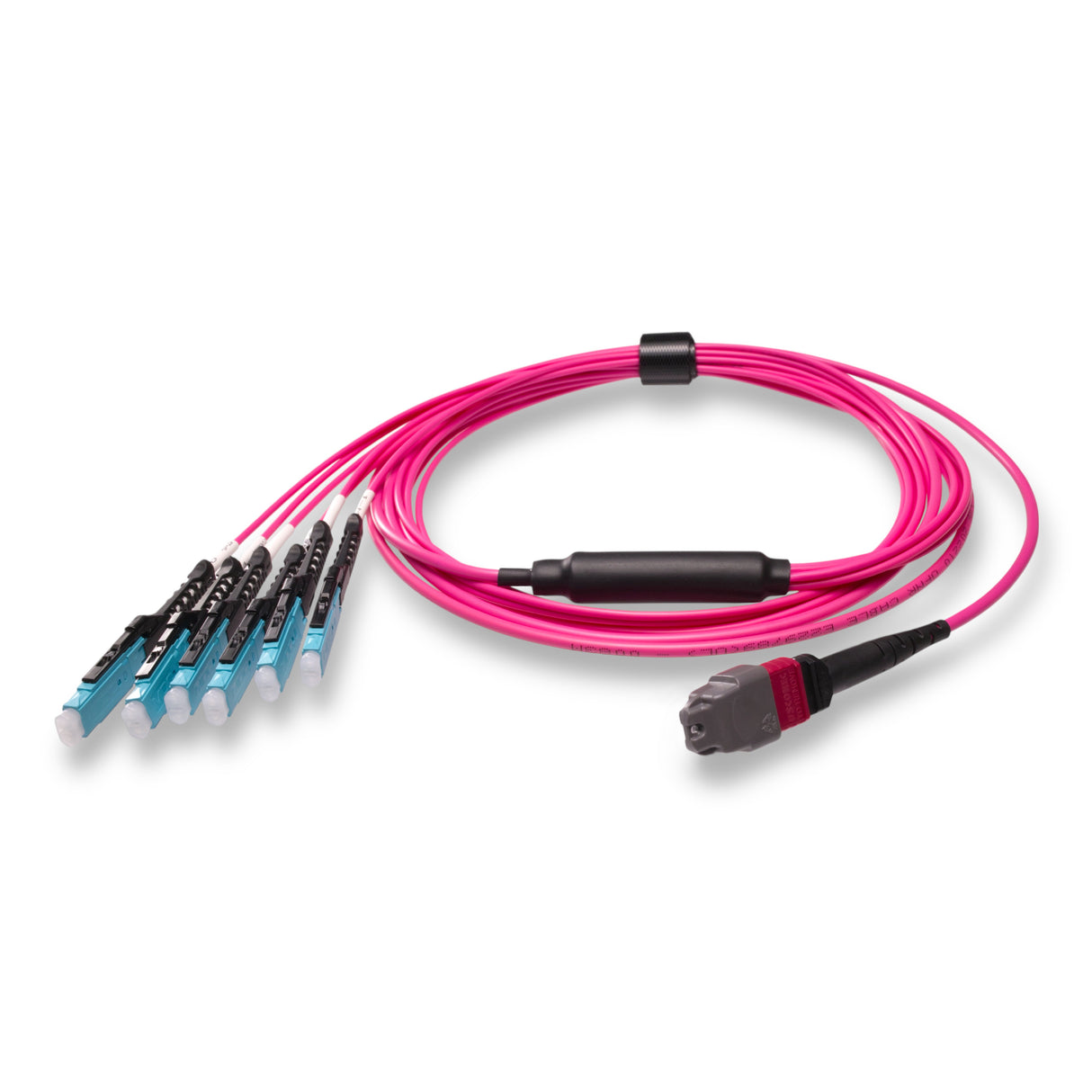 12-Fiber Non-Pinned MTP/UPC to 6 x MDC/UPC Fanout Cable | Corning® ClearCurve® OM4 Multimode Optical Fiber | Type B, Magenta MTP Connector, Aqua MDC Connector, Magenta Cable Jacket | OFNR Jacket