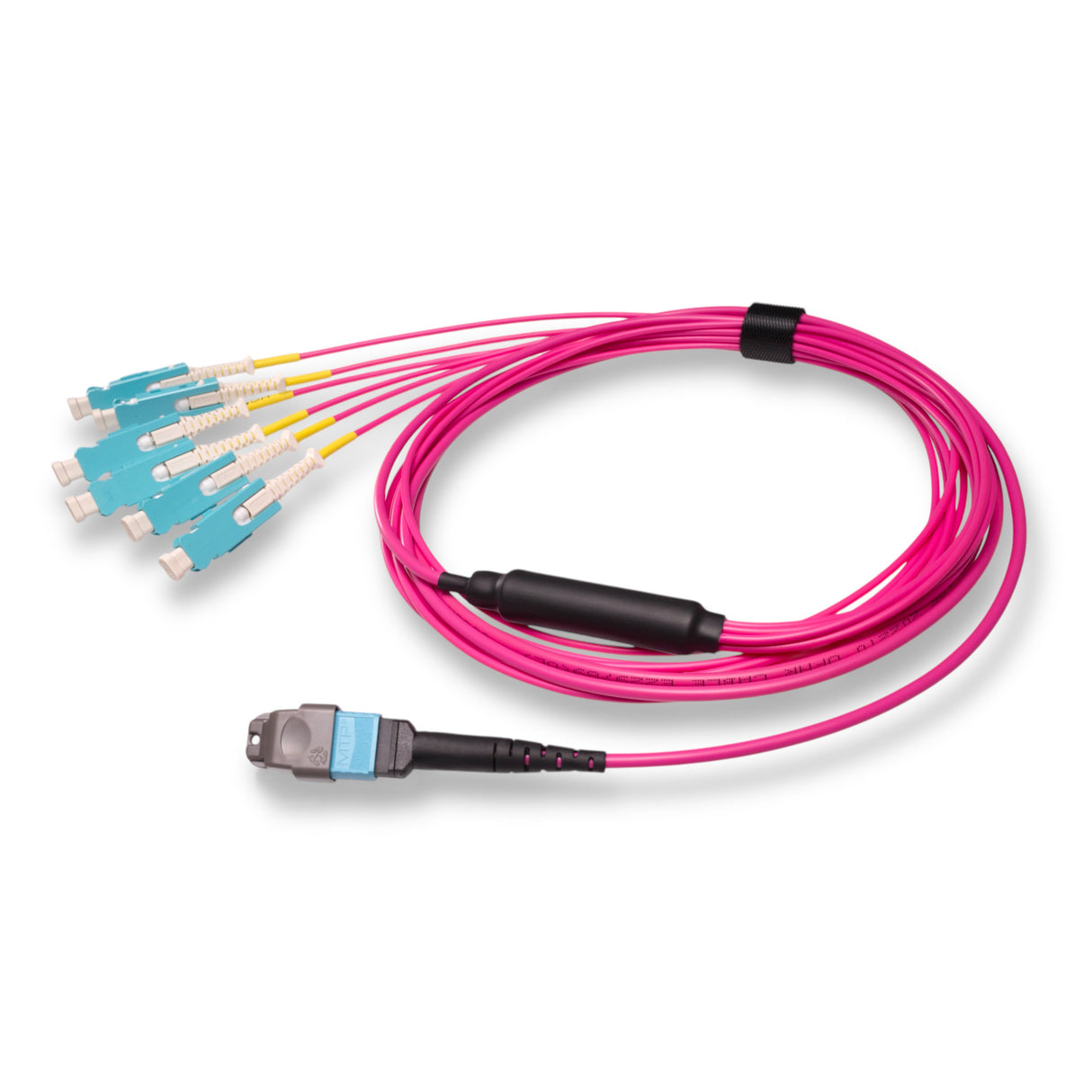 12-Fiber Non-Pinned MTP/UPC to 6 x SN/UPC Fanout Cable | Corning® ClearCurve® OM4 Multimode Optical Fiber | Type B, Aqua MTP Connector, Aqua SN Connector, Magenta Cable Jacket | OFNR Jacket
