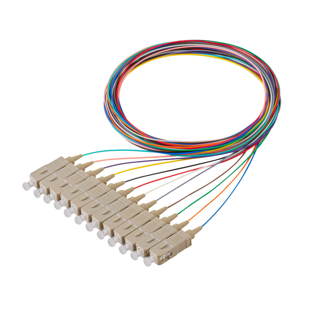 Bundle Deal – SC 12-Fiber 900µm OM4 Fiber Optic Pigtail | Corning ClearCurve | Multimode | 2m | 5-Pack / 10-Pack