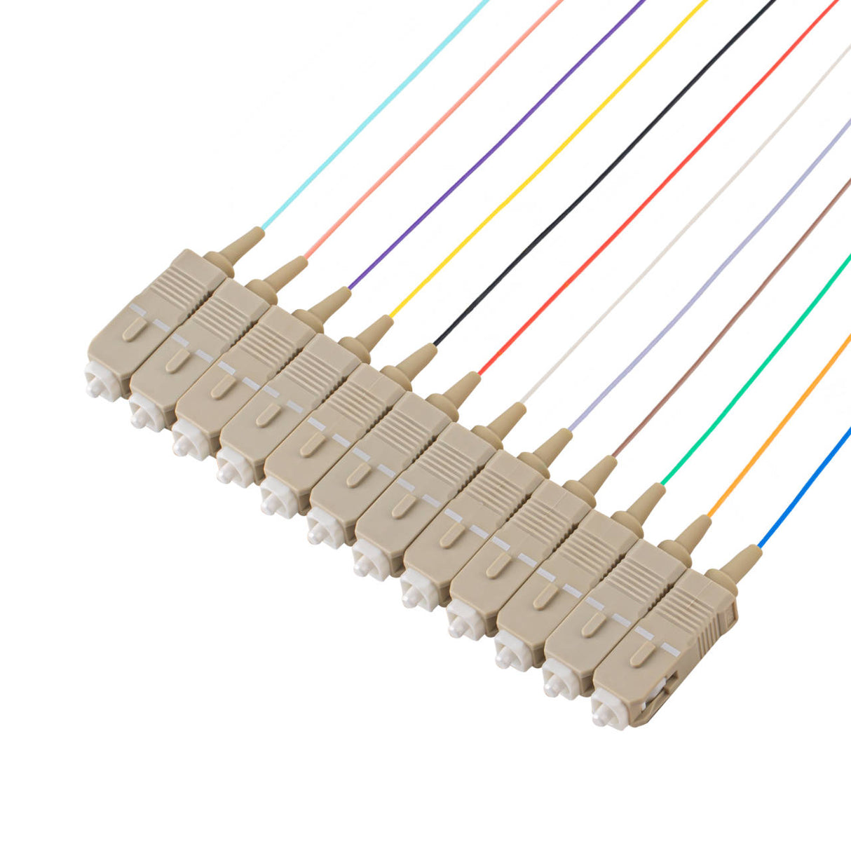 Bundle Deal – SC 12-Fiber 900µm OM4 Fiber Optic Pigtail | Corning ClearCurve | Multimode | 2m | 5-Pack / 10-Pack