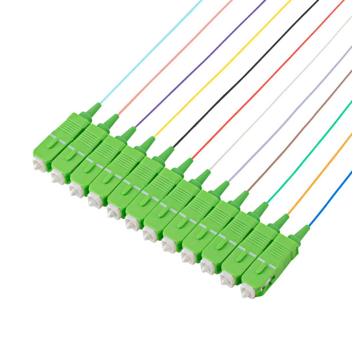 Bundle Deal – SC/APC 12-Fiber 900µm Fiber Optic Pigtail | Corning SMF-28 Ultra Fiber | OS1/OS2 Compatible | Single-mode | 1m | 5-Pack / 10-Pack