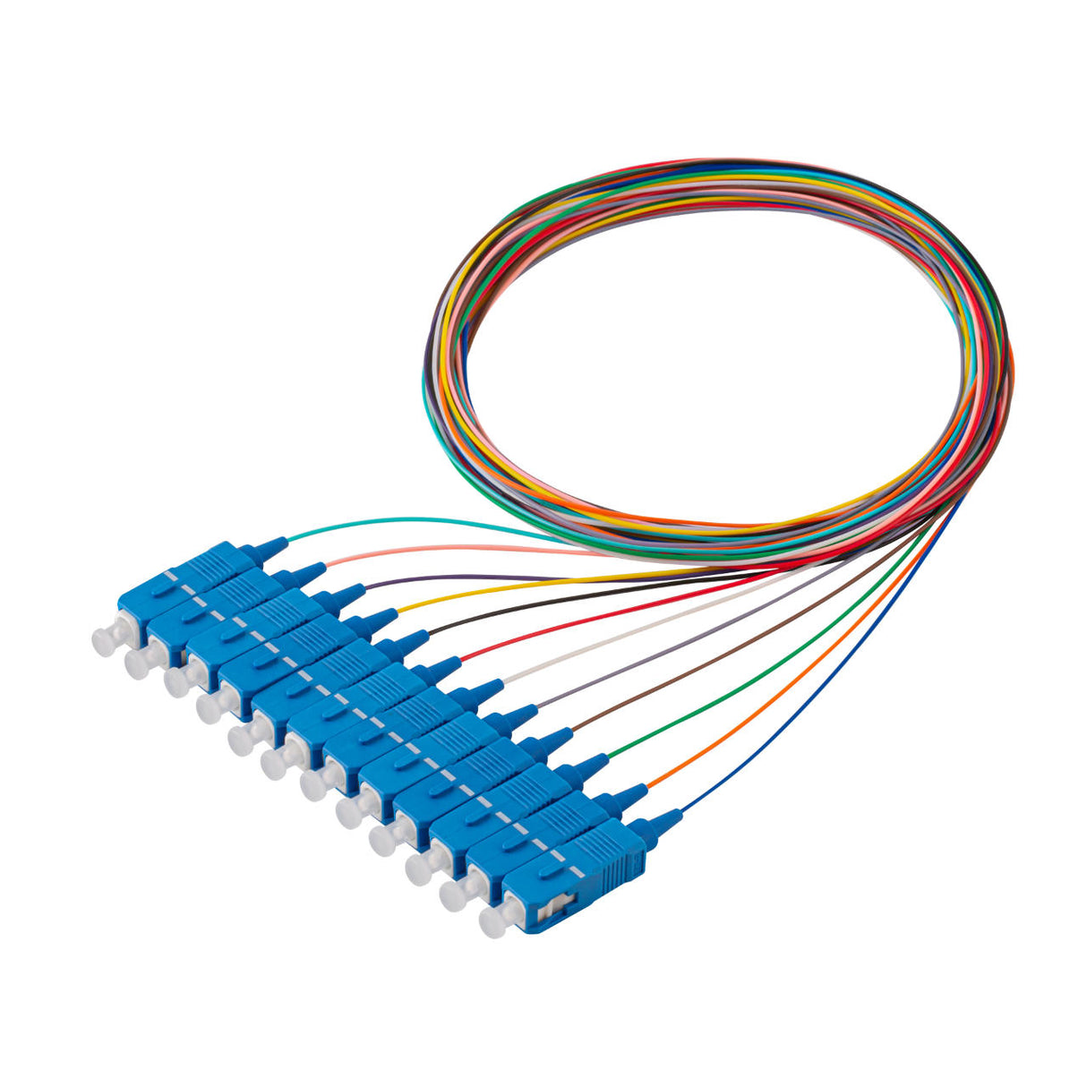 SC/UPC 12-Fiber 900µm Fiber Optic Pigtail | Corning SMF-28 Ultra Fiber | OS1/OS2 Compatible | Single-mode