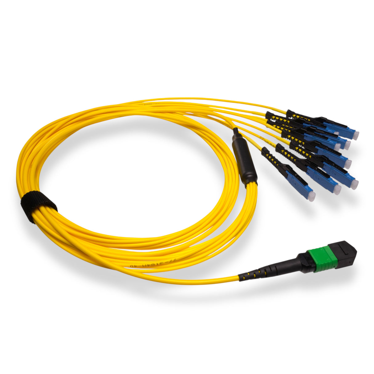 16-Fiber Non-Pinned MPO/APC to  8 x MDC/UPC Fanout Cable | Corning® SMF-28® Ultra Single-mode Optical Fiber | OS1/OS2 Compatible | Crossover, Green MPO Connector, Blue MDC Connector, Yellow Cable Jacket | OFNR Jacket