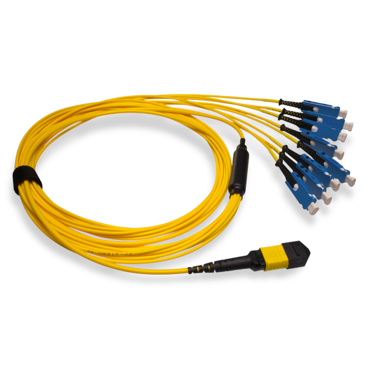 16-Fiber Non-Pinned MPO/APC to  8 x SN/UPC Fanout Cable | Corning® SMF-28® Ultra Single-mode Optical Fiber | OS1/OS2 Compatible | Crossover, Yellow MPO Connector, Blue SN Connector, Yellow Cable Jacket | OFNP Jacket