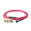 Elite Non-Pinned MPO to 8xLC Breakout Cable with Corning ClearCurve® OM4 Multimode Fiber, featuring an Aqua MPO Connector, Magenta Jacket, and Beige LC Connectors, optimized for high-speed 40G/100G data center applications.