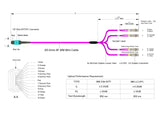 Low Loss Non-Pinned MPO to 4xLC Duplex QSFP Type Breakout Cable | Corning® ClearCurve® OM4 Multimode Optical Fiber | Aqua MPO Connector, Magenta Cable Jacket, Beige LC Connectors | LSZH Jacket