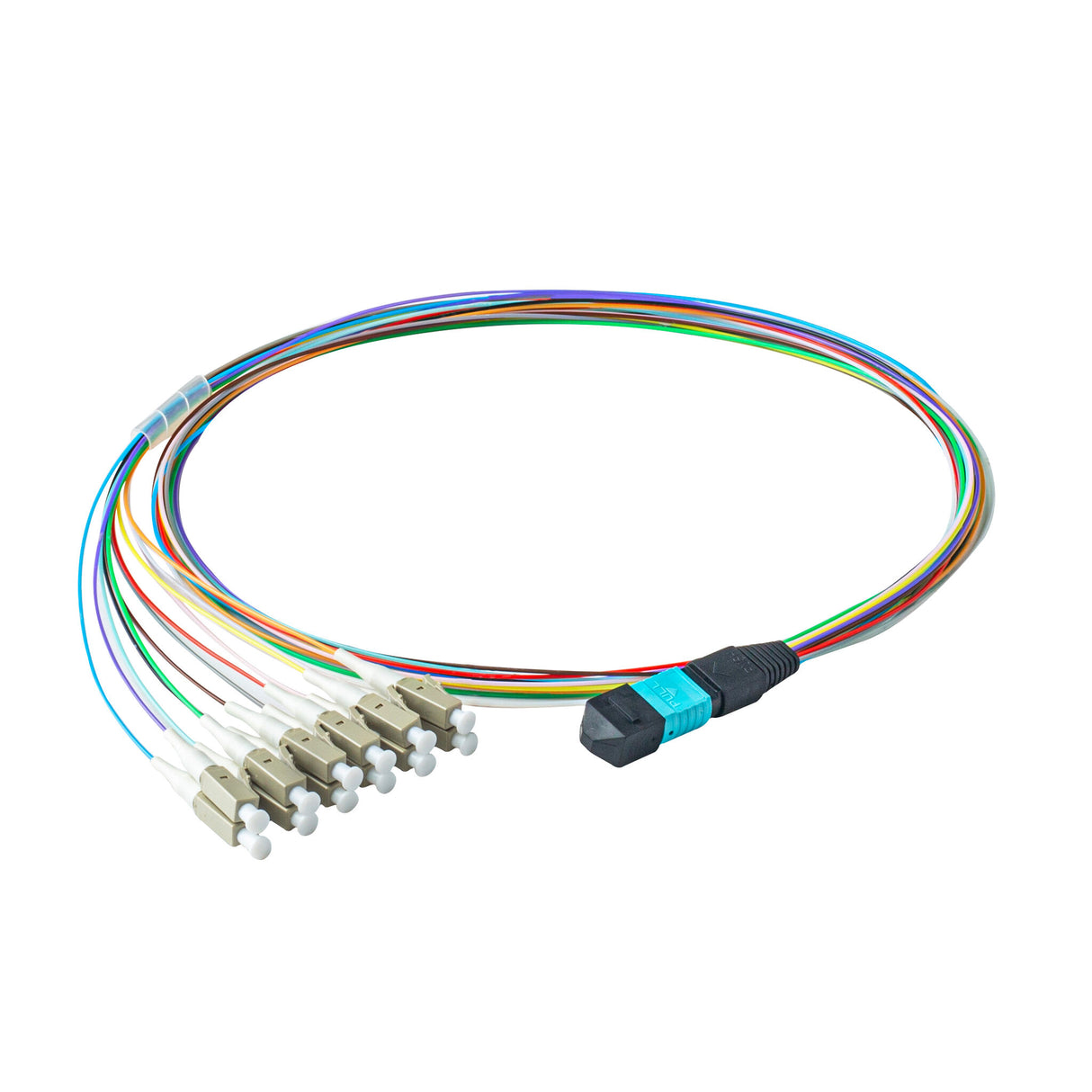 Elite Non-Pinned MPO to 12xLC Breakout Cable with Corning ClearCurve® OM3 Multimode Fiber, featuring an Aqua MPO Connector, 900μm 12-Colored Hytrel® Fiber Tube, and Beige LC Connectors, optimized for high-speed 40G/100G data center applications.