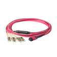 Elite Non-Pinned MPO to 8xLC Breakout Cable with Corning ClearCurve® OM4 Multimode Fiber, featuring a Magenta MPO Connector, Magenta Jacket, and Beige LC Connectors, optimized for high-speed 40G/100G data center applications.