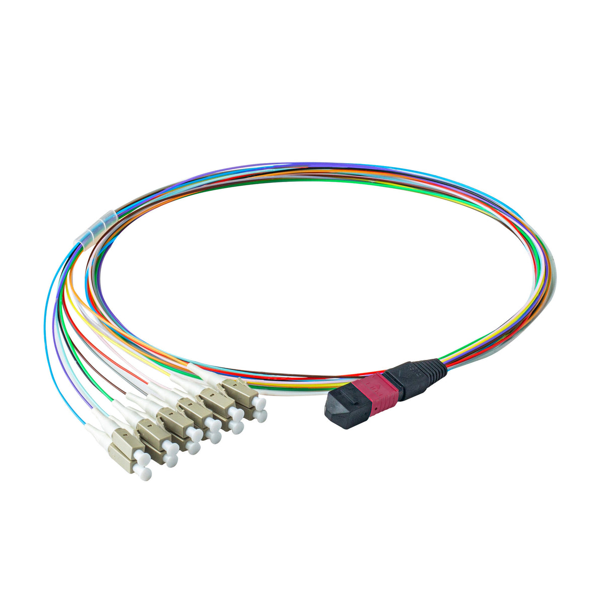 Elite Non-Pinned MPO to 12xLC Breakout Cable with Corning ClearCurve® OM4 Multimode Fiber, featuring a Magenta MPO Connector, 900μm 12-Colored Hytrel® Fiber Tube, and Beige LC Connectors, optimized for high-speed 40G/100G data center applications.