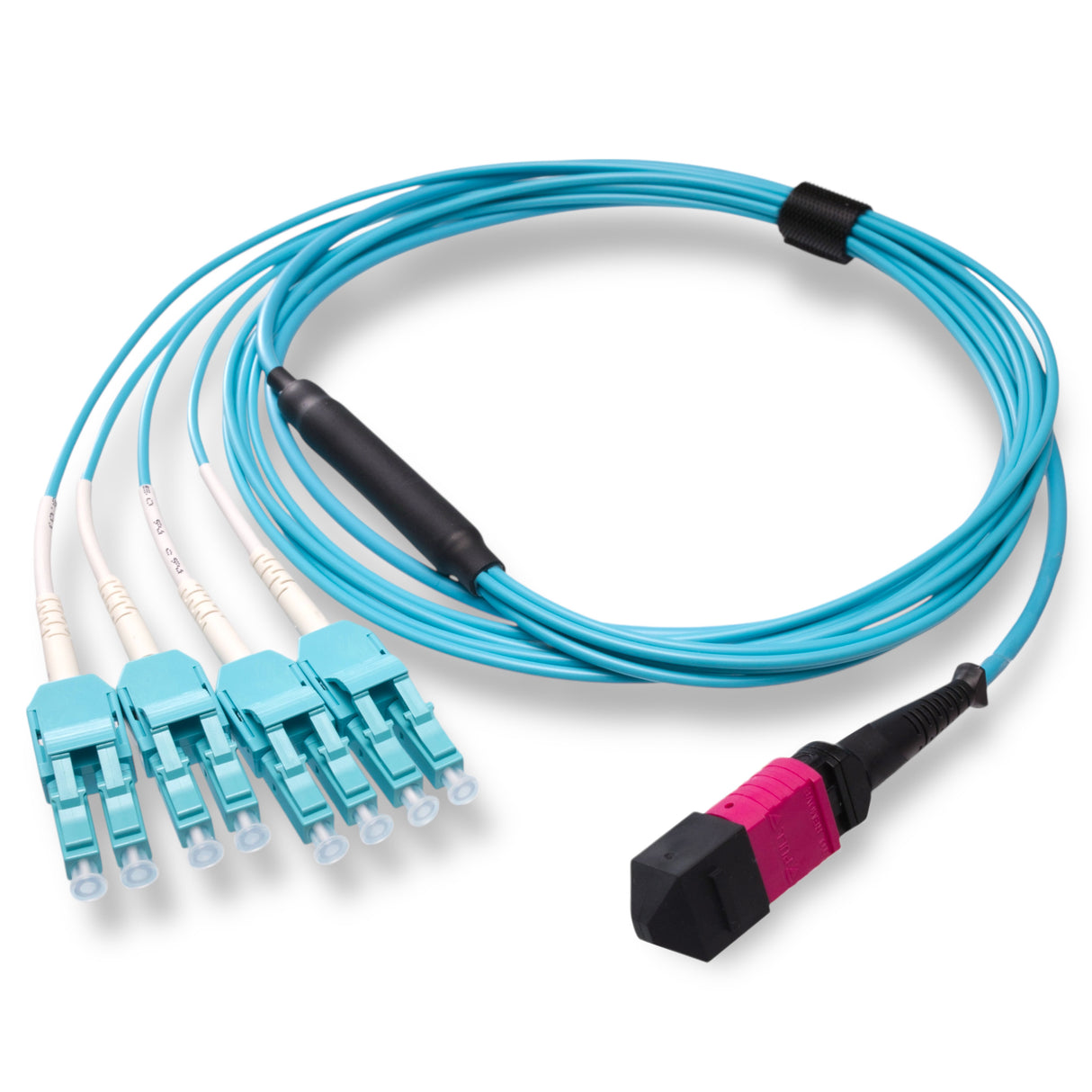 8-Fiber Low Loss Non-Pinned MPO/UPC to 4 x LC Uniboot/UPC Duplex QSFP Type Breakout Cable | Corning ClearCurve OM4 Multimode Optical Fiber | Type B, Magenta MPO Connector, Aqua LC Uniboot Connector, Aqua OFNP Cable Jacket