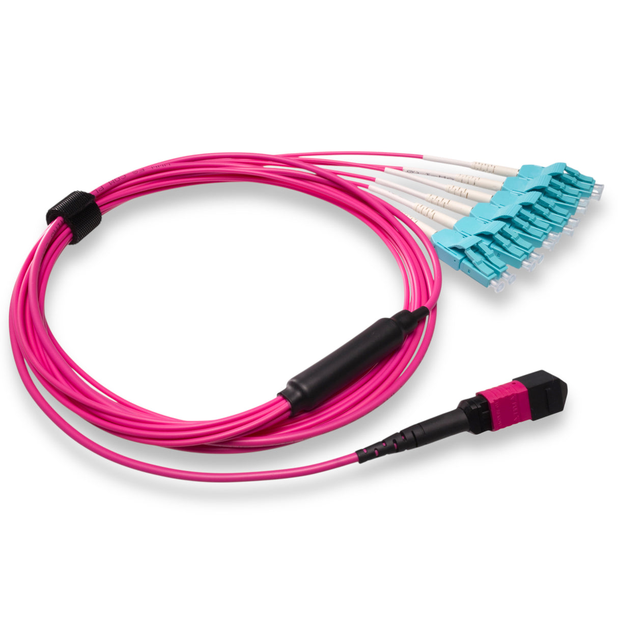 12-Fiber Low Loss Non-Pinned MPO/UPC to 6 x LC Uniboot/UPC Duplex QSFP Type Breakout Cable | Corning ClearCurve OM4 Multimode Optical Fiber | Type B, Magenta MPO Connector, Aqua LC Uniboot Connector, Magenta OFNP Cable Jacket