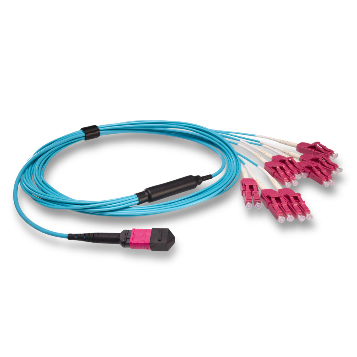 16-Fiber Low Loss Non-Pinned MPO/UPC to 8 x LC Uniboot/UPC Duplex QSFP Type Breakout Cable | Corning ClearCurve OM4 Multimode Optical Fiber | Crossover, Magenta MPO Connector, Magenta LC Uniboot Connector, Aqua OFNP Cable Jacket