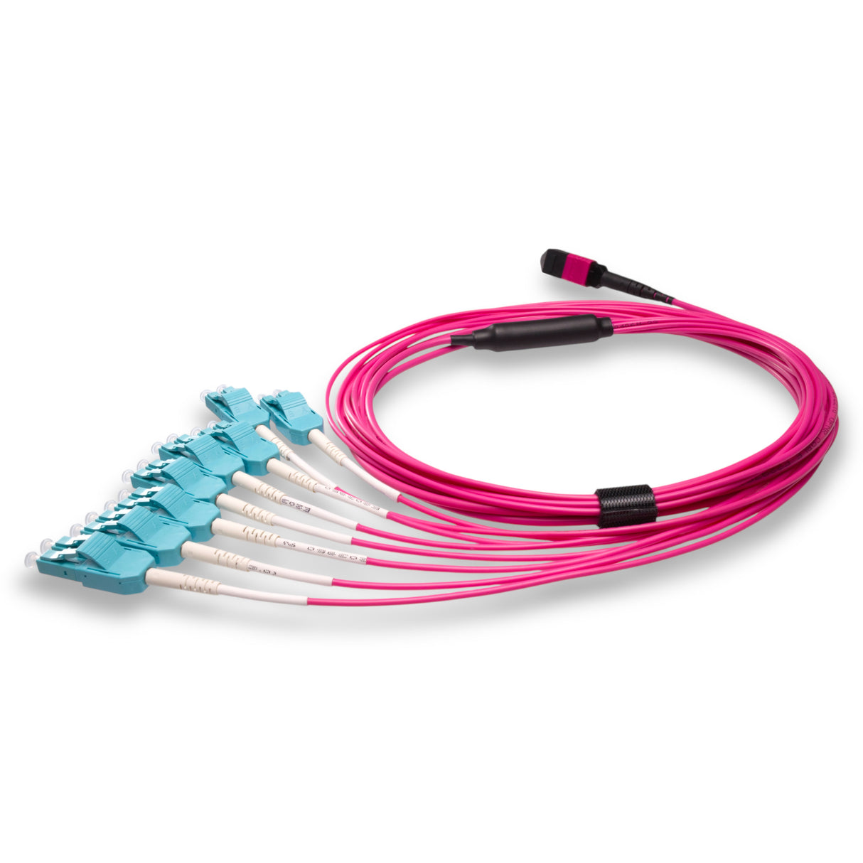 16-Fiber Low Loss Non-Pinned MPO/UPC to 8 x LC Uniboot/UPC Duplex QSFP Type Breakout Cable | Corning ClearCurve OM4 Multimode Optical Fiber | Crossover, Magenta MPO Connector, Aqua LC Uniboot Connector, Magenta OFNP Cable Jacket