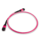 12-Fiber Elite Non-Pinned MPO APC to MPO APC Jumper with Corning® ClearCurve® OM4 Multimode Fiber, Type B polarity, Magenta MPO connectors, and Magenta jacket, optimized for 40GBASE-SR4 and 100GBASE-SR4 multimode parallel optics in high-density data centers.