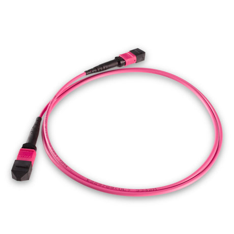 12-Fiber Elite Non-Pinned MPO APC to MPO APC Jumper with Corning® ClearCurve® OM4 Multimode Fiber, Type B polarity, Magenta MPO connectors, and Magenta jacket, optimized for 40GBASE-SR4 and 100GBASE-SR4 multimode parallel optics in high-density data centers.