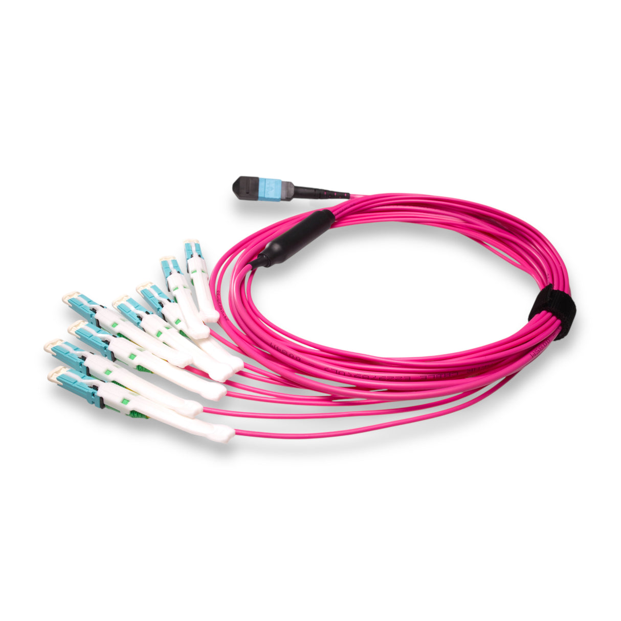 16-Fiber Non-Pinned MPO-16/UPC to  8 x CS/UPC Breakout Cable | Corning® ClearCurve® OM4 Multimode Optical Fiber | Crossover, Aqua MPO Connector, Aqua CS Connector, Magenta Cable Jacket | OFNP Jacket