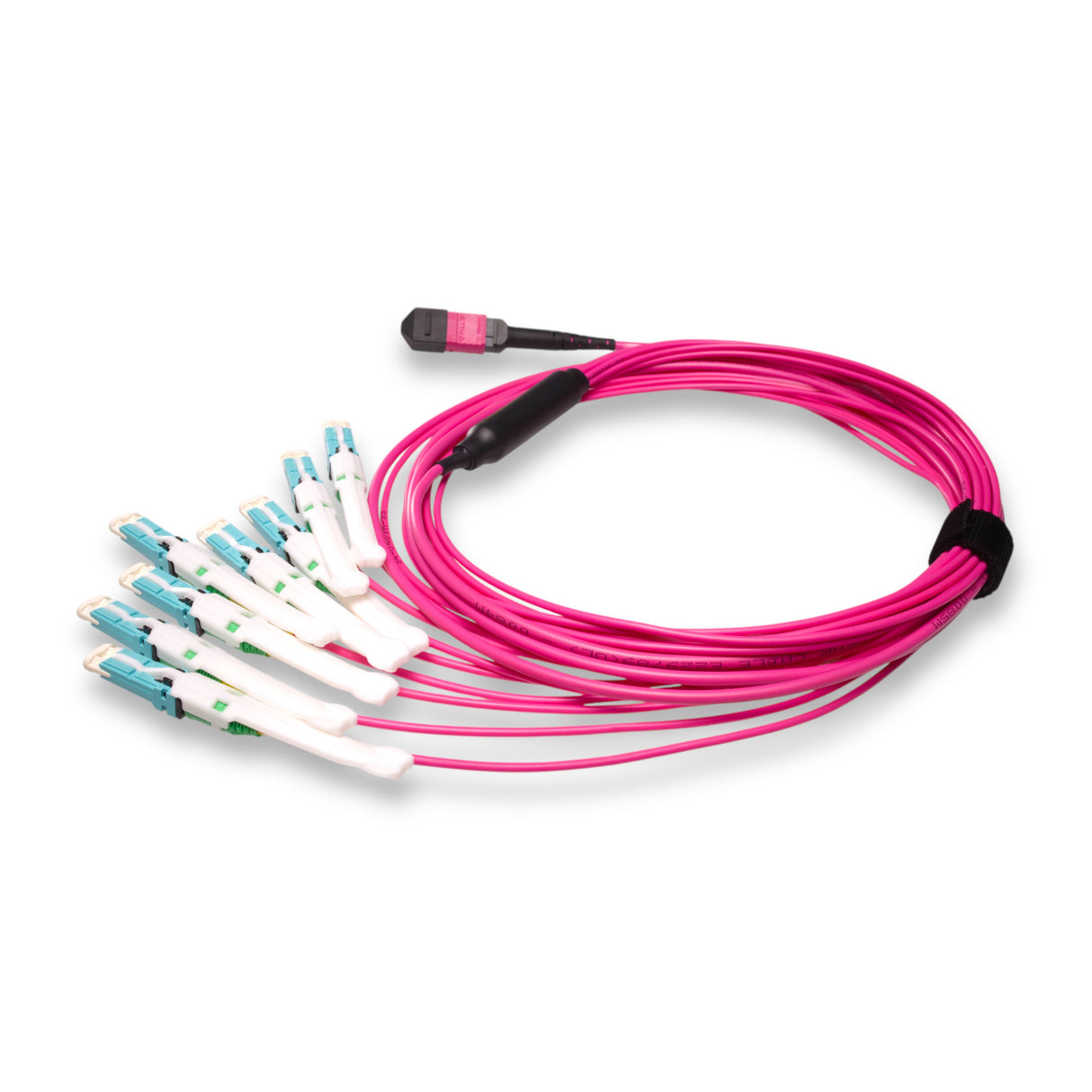 16-Fiber Non-Pinned MPO-16/UPC to  8 x CS/UPC Breakout Cable | Corning® ClearCurve® OM4 Multimode Optical Fiber | Crossover, Magenta MPO Connector, Aqua CS Connector, Magenta Cable Jacket | OFNR Jacket
