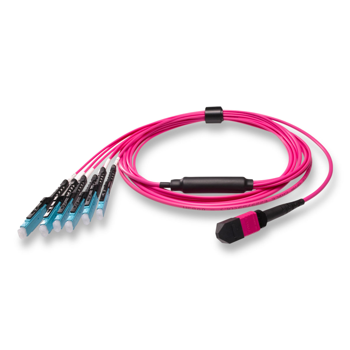 12-Fiber Non-Pinned MPO/UPC to  6 x MDC/UPC Fanout Cable | Corning® ClearCurve® OM4 Multimode Optical Fiber | Type B, Magenta MPO Connector, Aqua MDC Connector, Magenta Cable Jacket | OFNR Jacket
